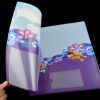 Plastic Folder A5/ A4/ A3/ A2 - Image 3