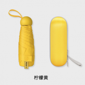 Ultra-light mini sunscreen umbrella for glasses case 19inch