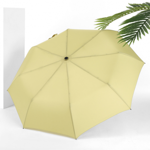 Small fresh umbrella with wooden handle 21inch - Image 4